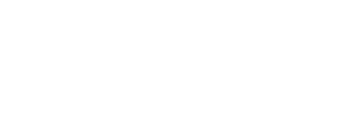 Logotipo de Destino China en color blanco, imagen corporativa de la agencia especializada en viajes personalizados y experiencias auténticas por China.